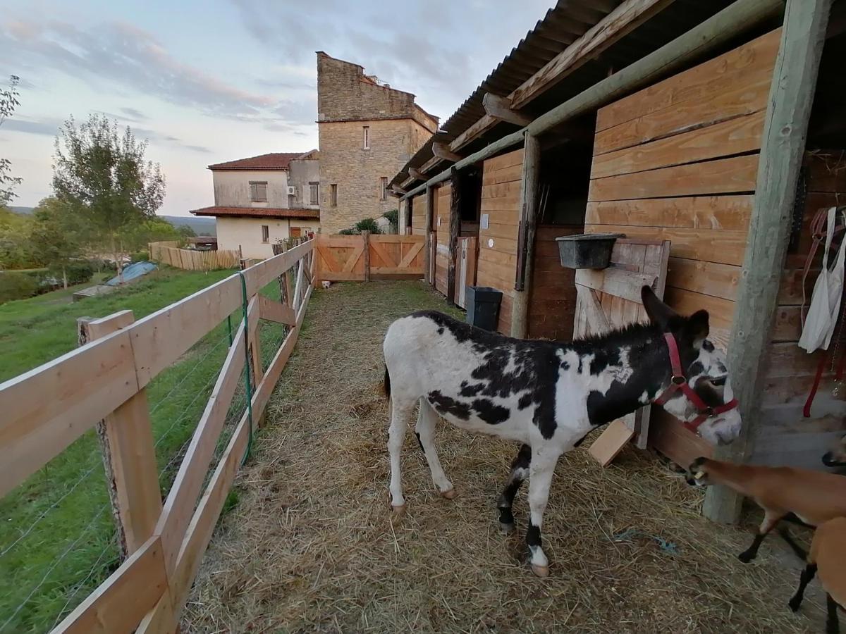 Villa Les Hauts Vallons Puylaroque Экстерьер фото